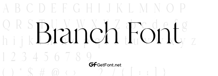 Download the Stylish Branch Font! - GetFont