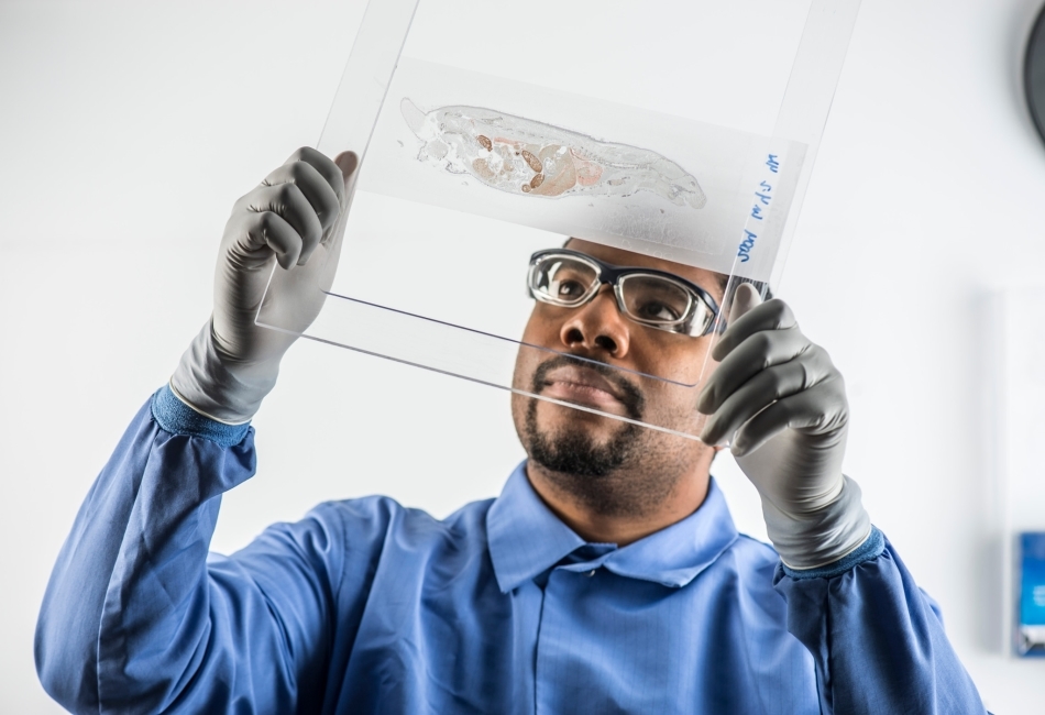 Preclinical Studies GetFont